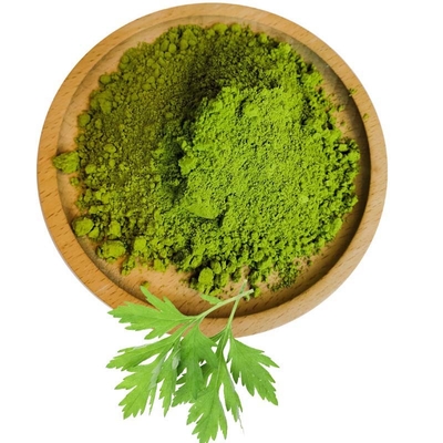 100% New Pure natural mugwort powder wormwood leaf extract hot sale