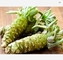 Food Grade Herbal Extract Wasabi Root Extract Powder Factory Wholesale